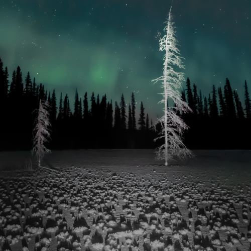 Isolation
