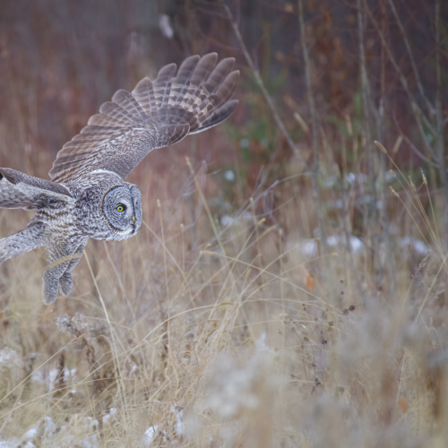 The take-off