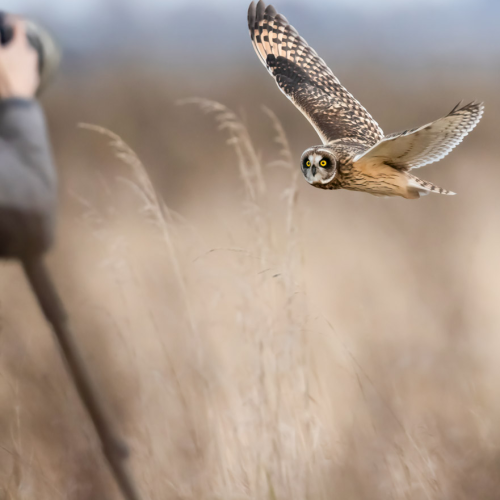 The Photo Shooter