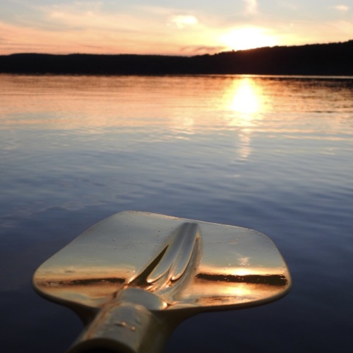 Golden Paddle