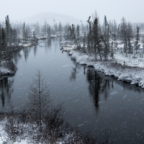 winter storm