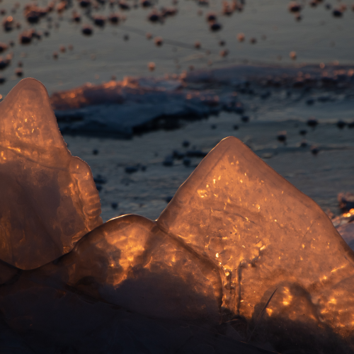 Morning Ice Shards