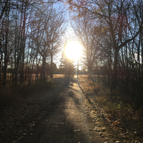 A walk in the park