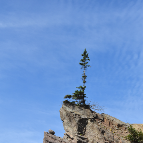 On the Rocks