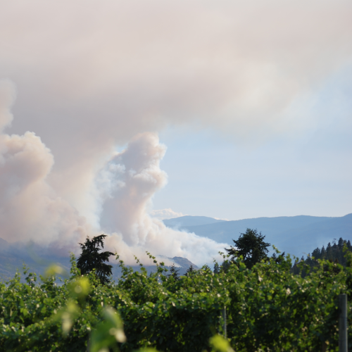 World on Fire