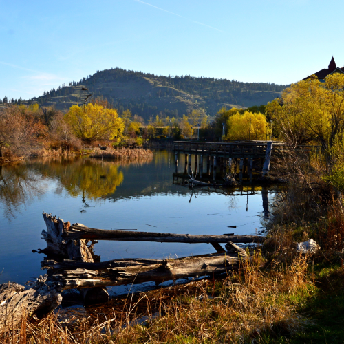 Rotary Marsh