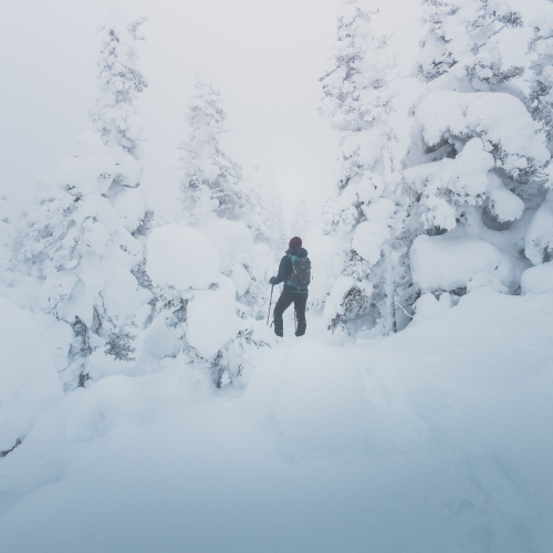 Into the clouds