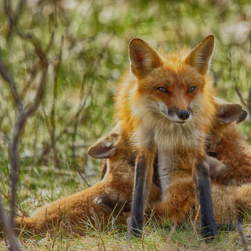 Family Time