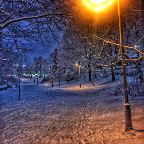 Winter Wonderlan