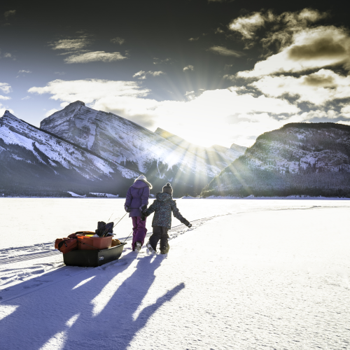 Snow Sluggers