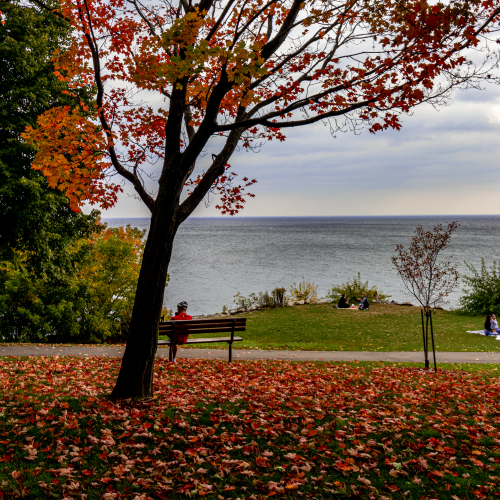 Relaxing after a bike ride on the lake, Oakville, ON