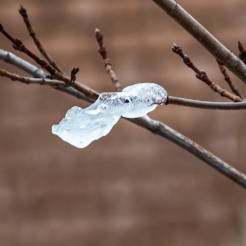 Last piece of ice before the meltdown