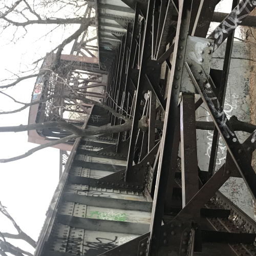 living nature x industrial remains