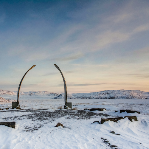 The Whale Bone Cemetary