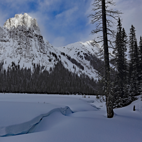 Backcountry in Kanananskis