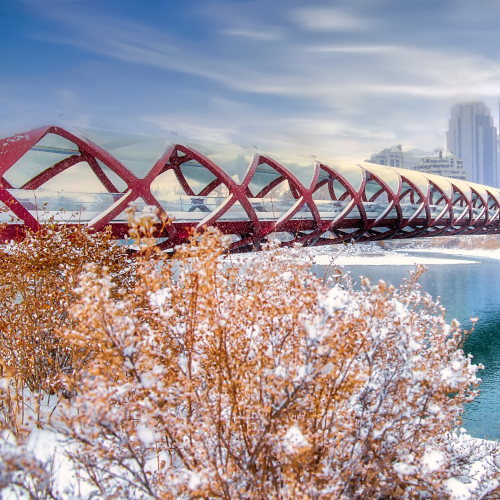 Snowy Scenery Around The Peace Bridge