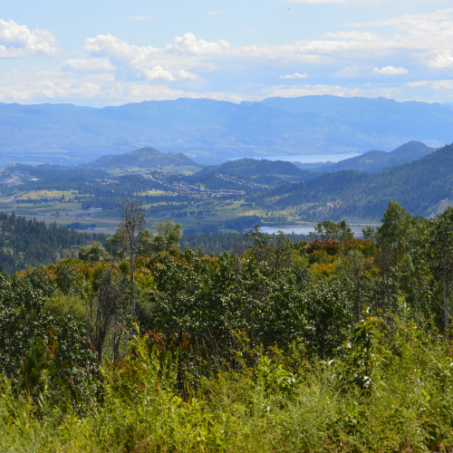 Lake Country from Above