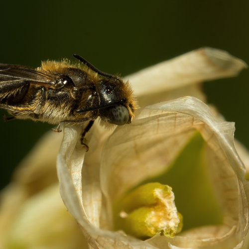 Sleeping