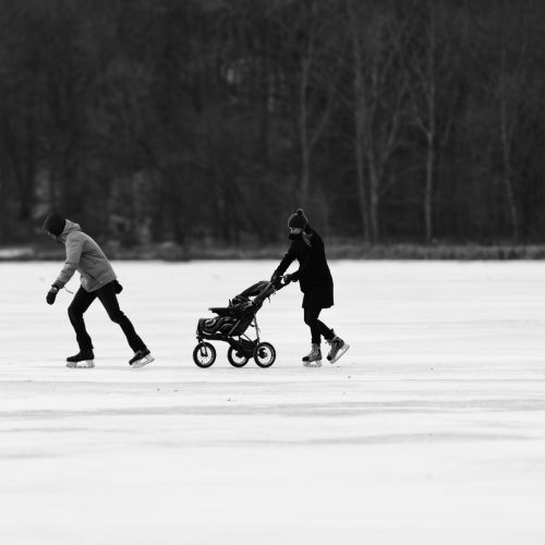Family Pastime 