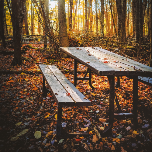Fall Neglect