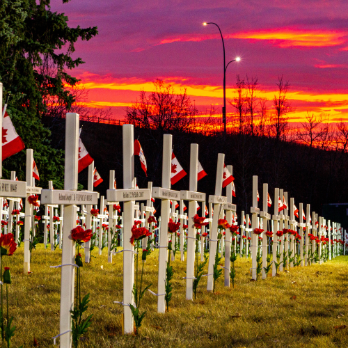 Calgary's Field of Crosses at Sunrise