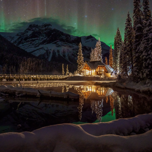 Magical winter wonderland night