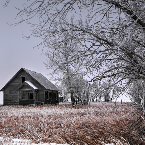 Homestead