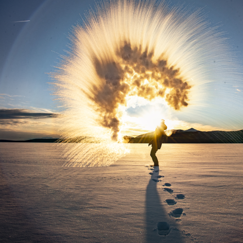 Celebrating the Arctic