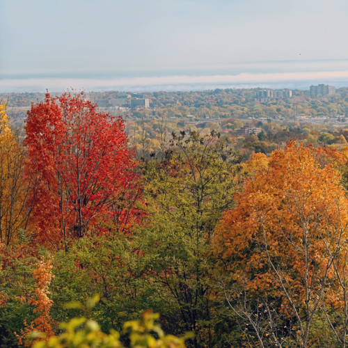 Overlooking The City