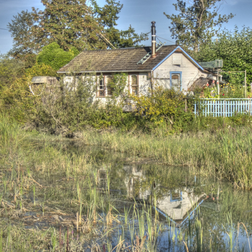 Reflection in Finn Slough