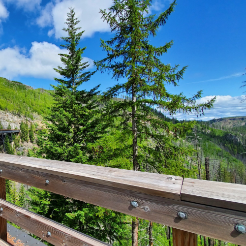 Early morning ride on the Kettle Valley Trail