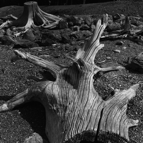 Stump figure