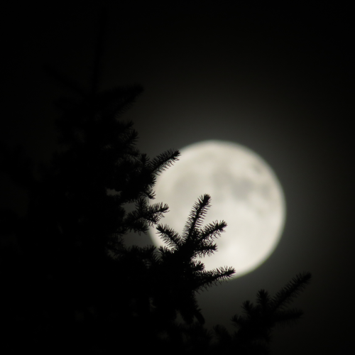 Halloween Full Moon
