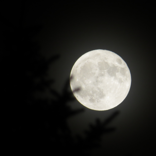 Halloween's Full Moon