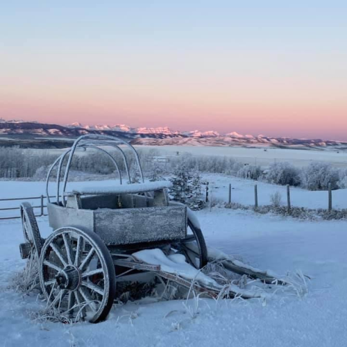Winter Calm