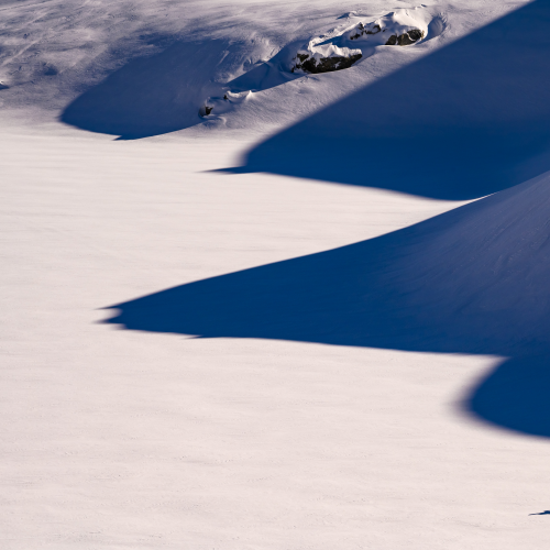Fresh Tracks