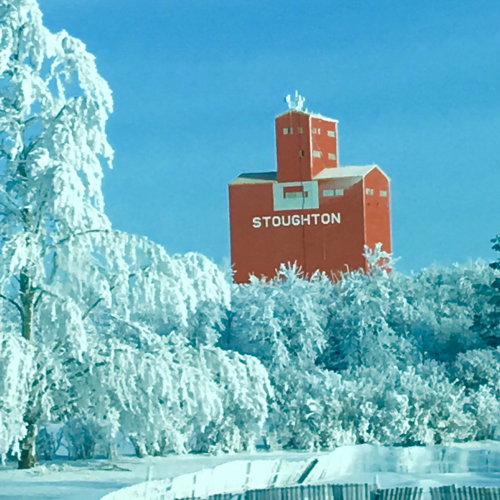Winter Wonderland