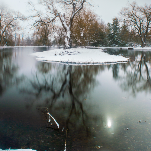 Reflections of nature