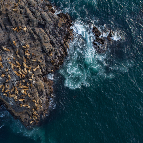 Edge of the Earth