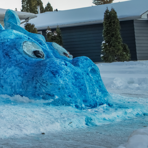 Snow Dragon