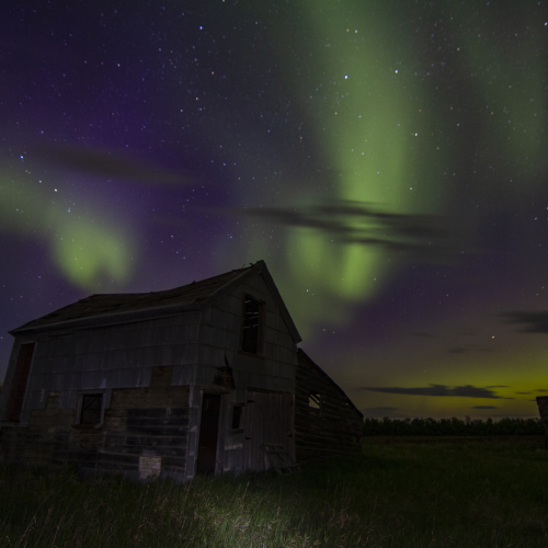 Nature's Night Light