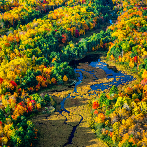 Colourful Ontario