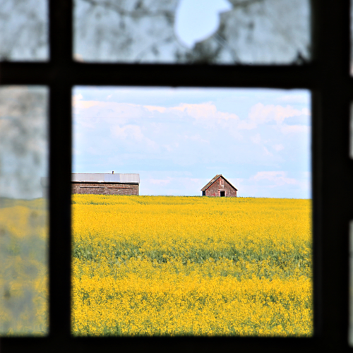 A room with a view