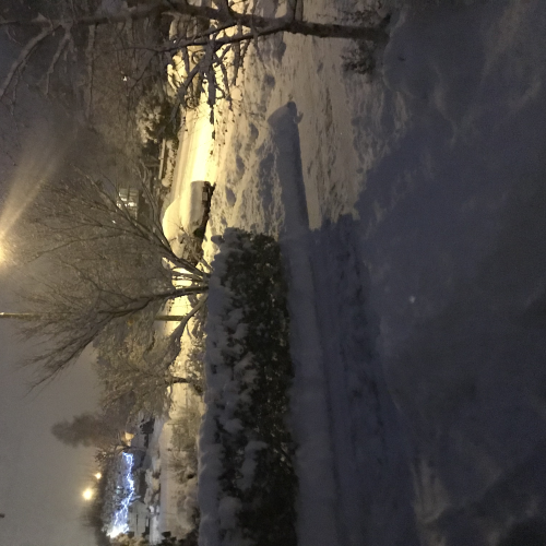 Whoa Snow!