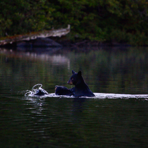 Catching a ride