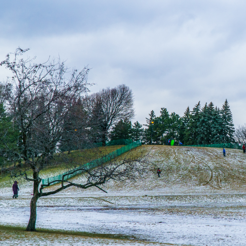 No snow 