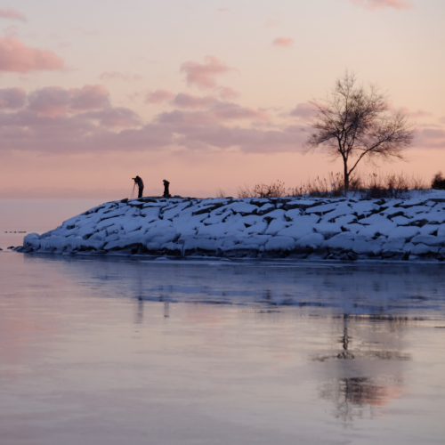 Winter's Twilight