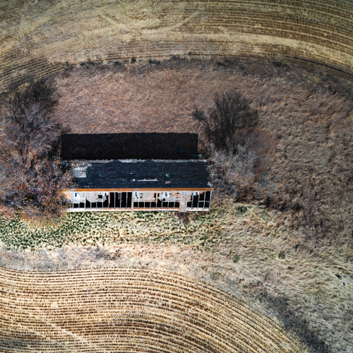 Abandoned Granary