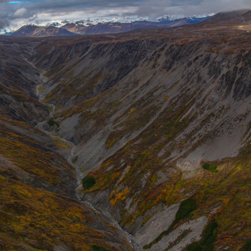 A Glacier Stream