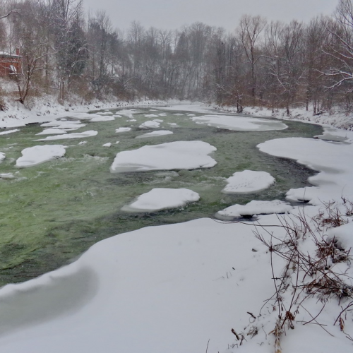 Humber River walks